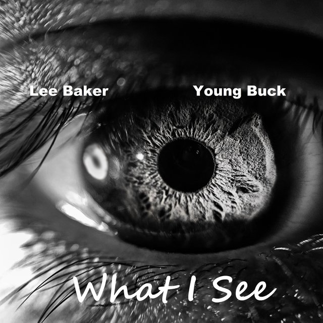 What I See (feat. Young Buck)