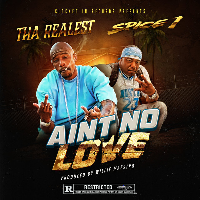 Aint  No Love