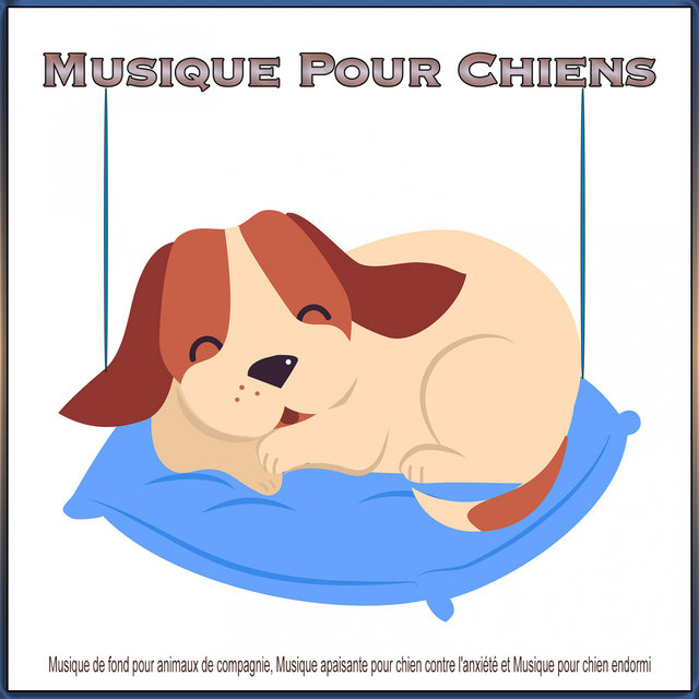 Musique Pour Chiens : Musique de fond pour animaux de compagnie, Musique apaisante pour chien contre l'anxiété et Musique pour chien endormi
