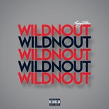 WILDNOUT