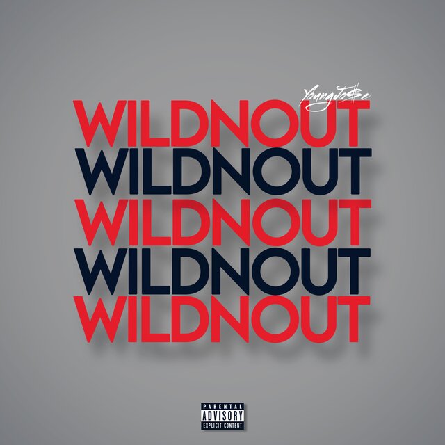 WILDNOUT