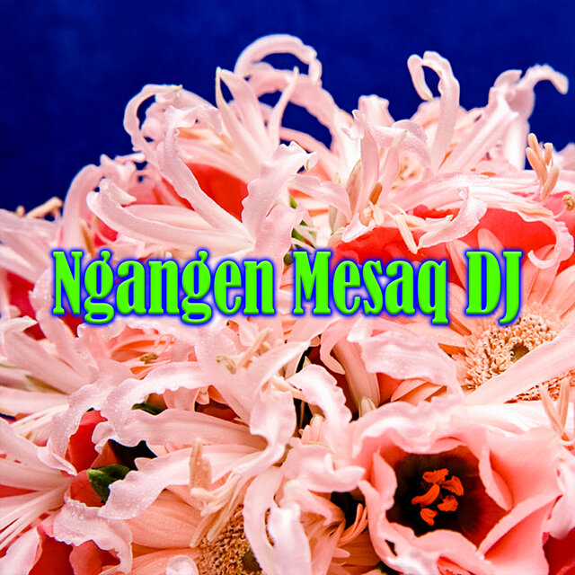 Ngangen Mesaq DJ