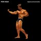 Cover art for album Hypercommunication by Poni Hoax