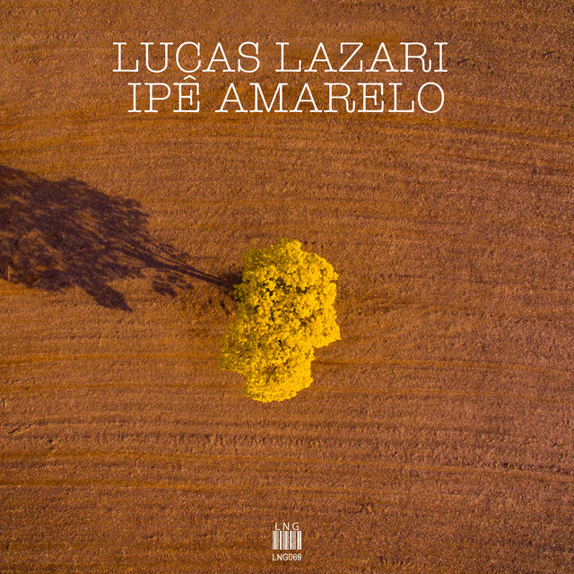 Ipê Amarelo