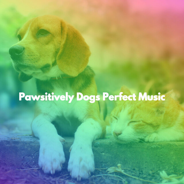Pawsitively Dogs Perfect Music