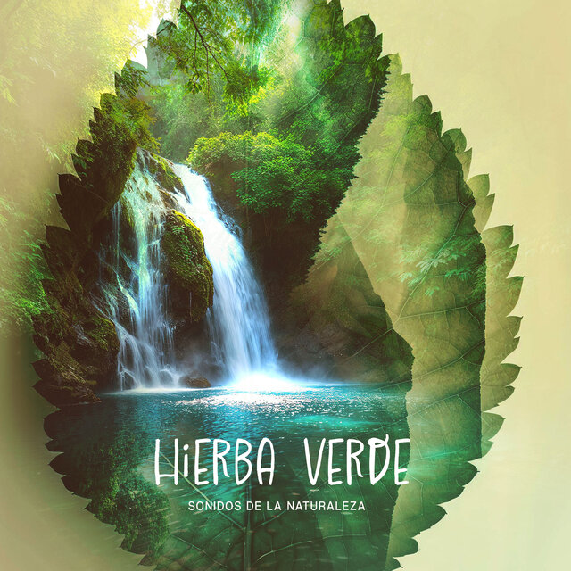 Hierba Verde