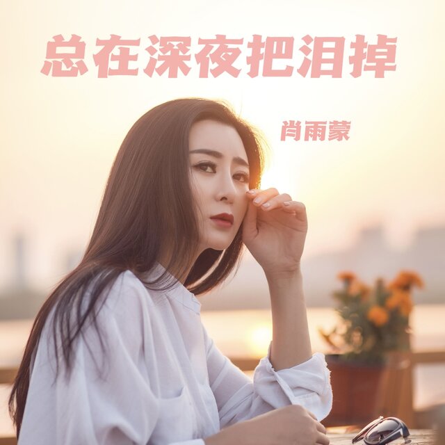 总在深夜把泪掉