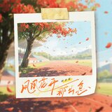 凤凰花开那么急