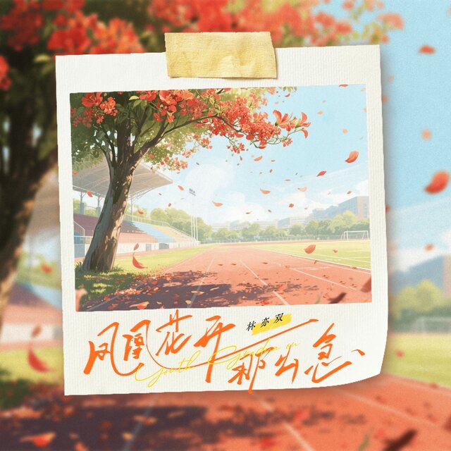 凤凰花开那么急