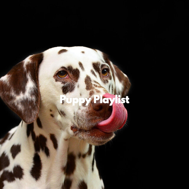 Puppy Playlist