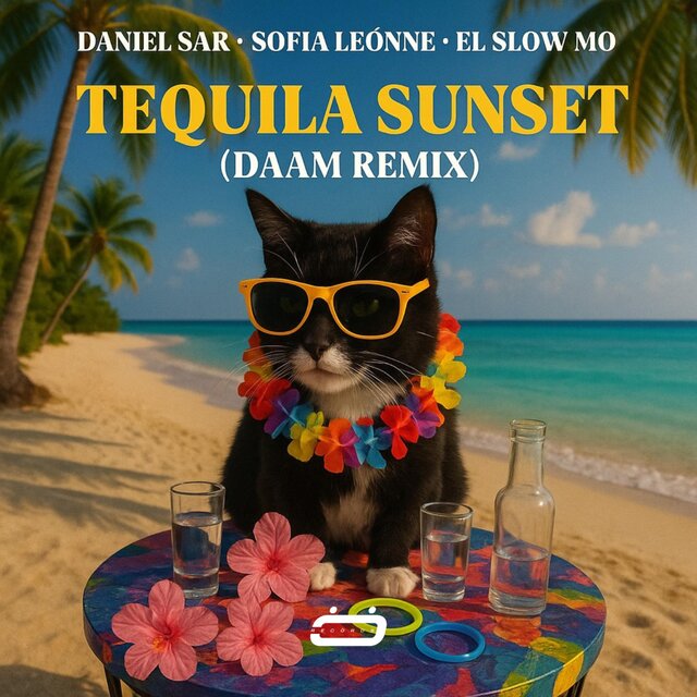 Tequila Sunset (DAAM Remix)