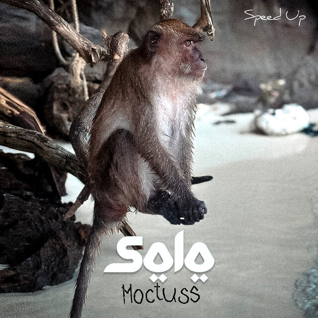 SOLO (SPEED UP)