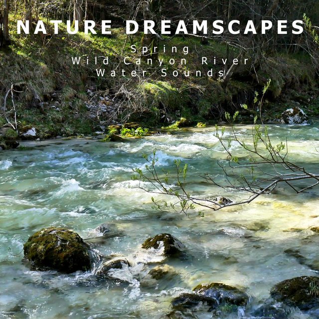 Spring Wild Canyon River Water Sounds