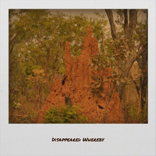 Disappeared Whereby