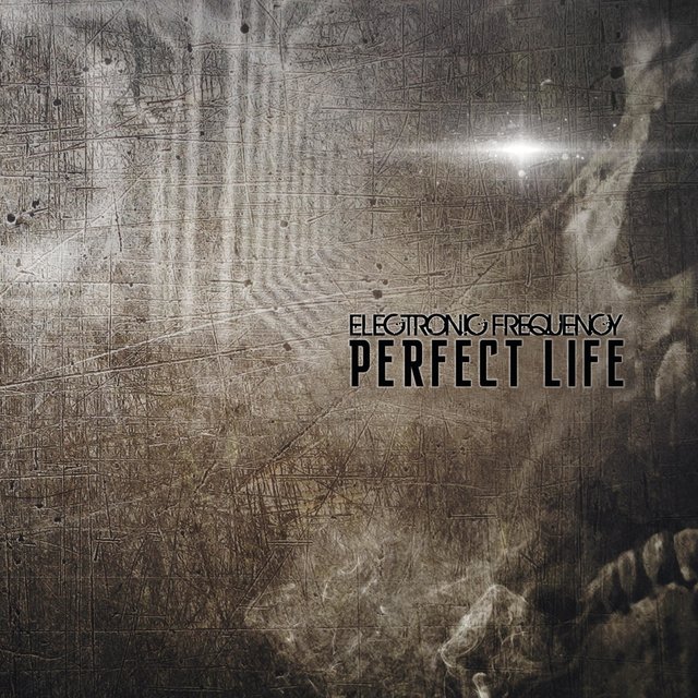 Perfect Life