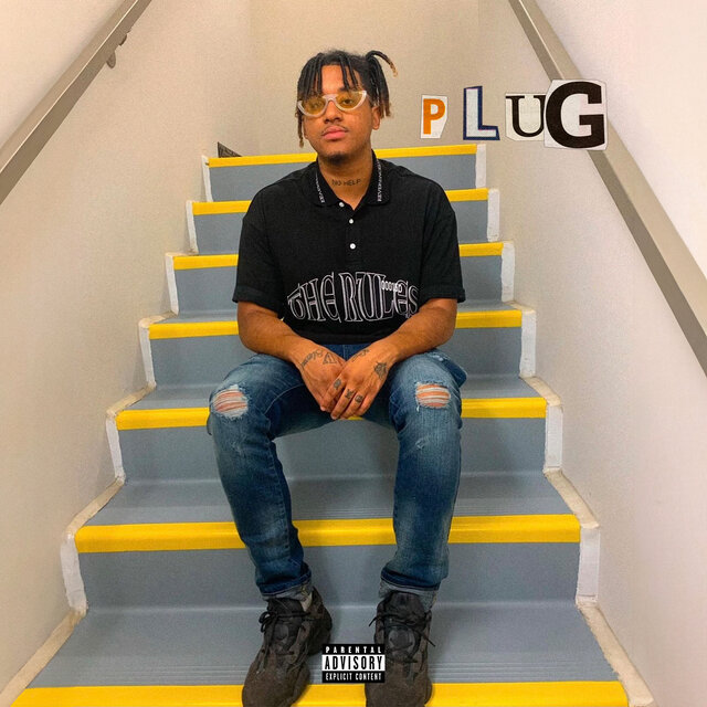 Plug