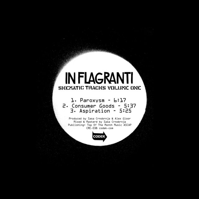 In Flagranti Presents Skematic Tracks Volume 1
