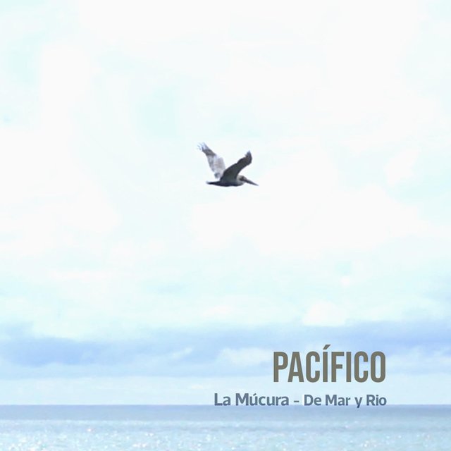 Pacífico