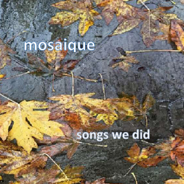 Songs We Did