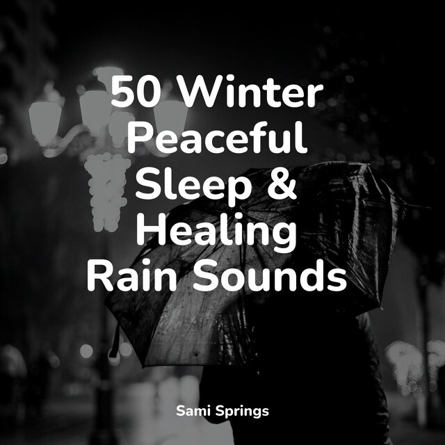 50 Winter Peaceful Sleep & Healing Rain Sounds