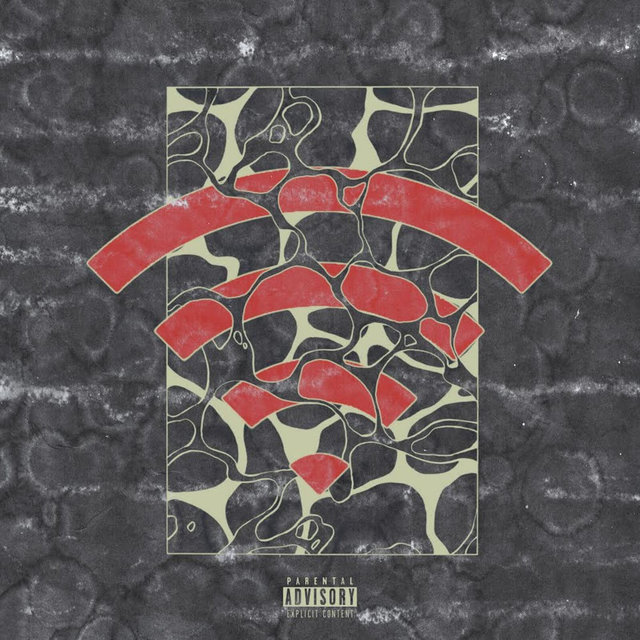 No Wifi