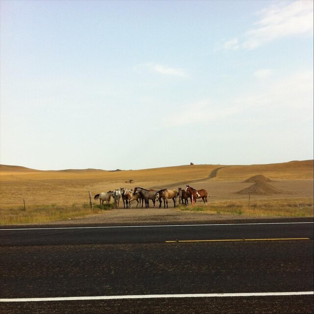 Dakota's Road