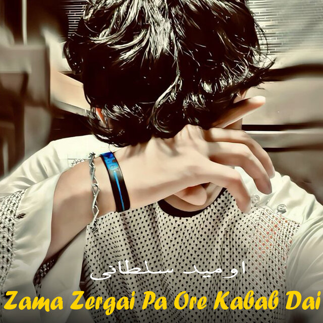 Zama Zergai Pa Ore Kabab Dai