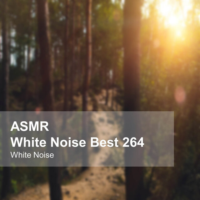 White Noise ASMR Best 264 (Rain Sounds, Bonfire, Burning Firewood, Space, Stream, Bird, Sleep, Baby Sleep, Study, Meditation, Healing)