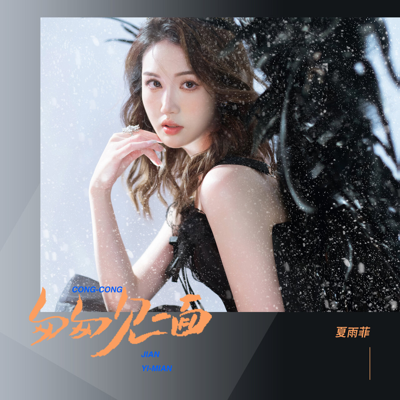 匆匆见一面/ 夏雨菲- TIDAL