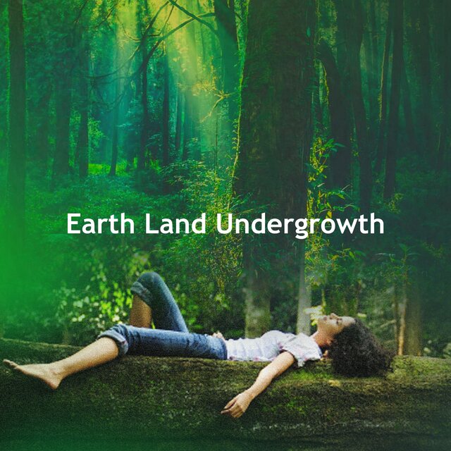 Earth Land Undergrowth