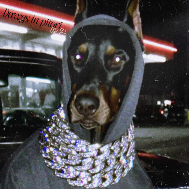 Dawgs in Pitori (Don't Touch)