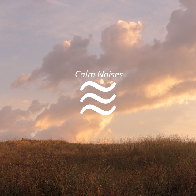 Noise for Babies to Sleep Easy