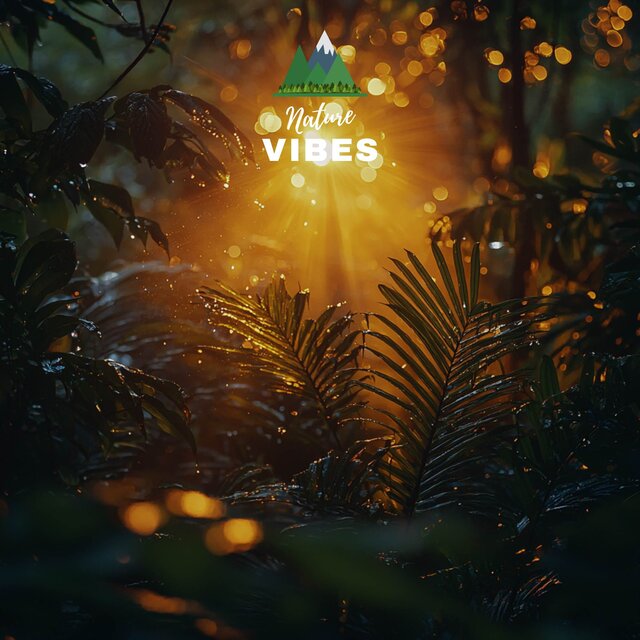 Vibing in the Forest