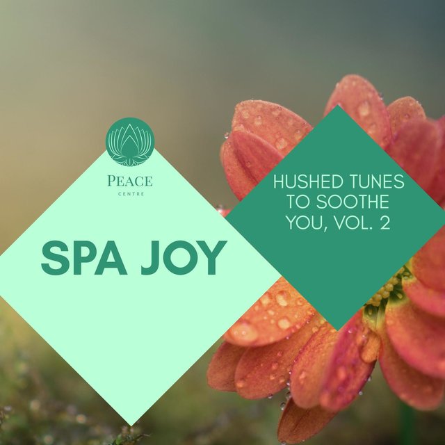 Spa Joy - Hushed Tunes To Soothe You, Vol. 2