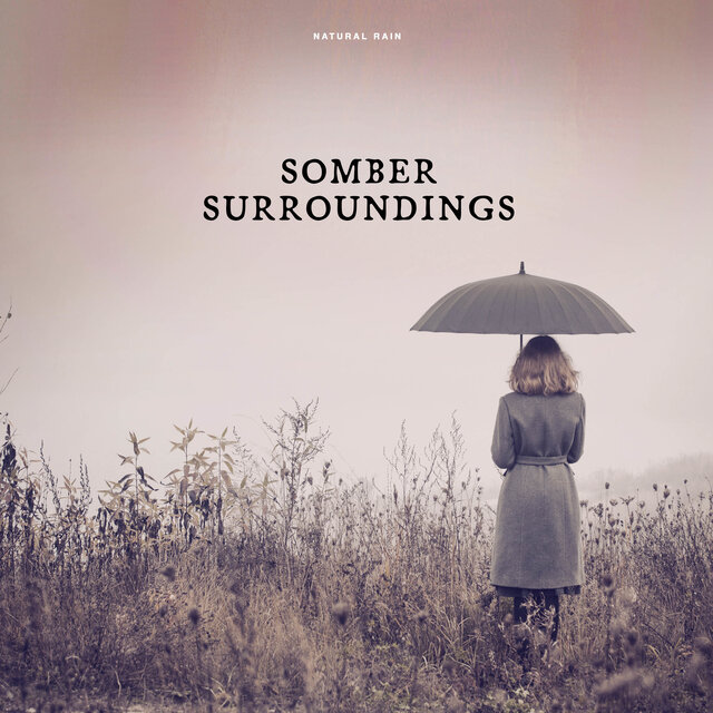 Somber Surroundings
