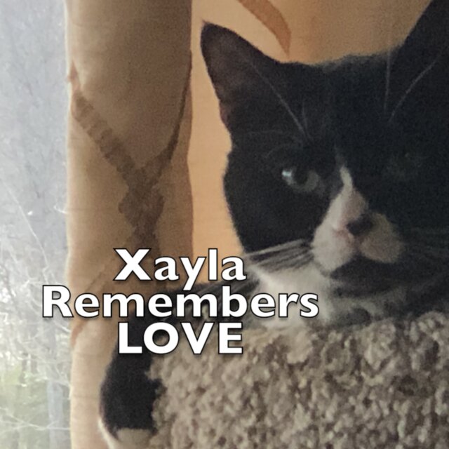 Xayla Remembers LOVE