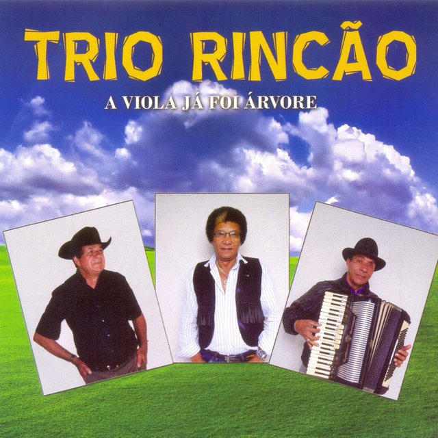 A viola Já Foi a Árvore