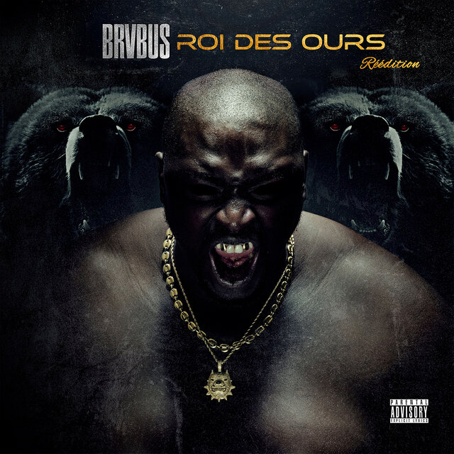 Roi des ours ( Réédition )