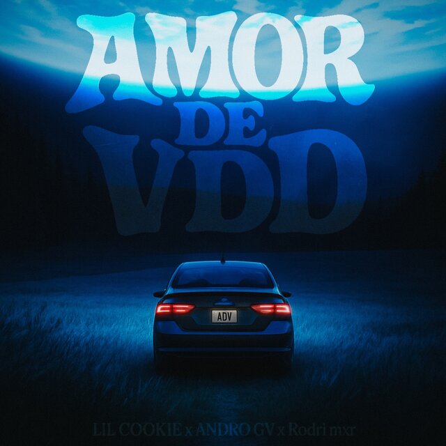 AMOR DE VDD
