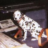 lou.dog