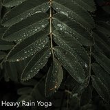 Electrifying Rain Storm