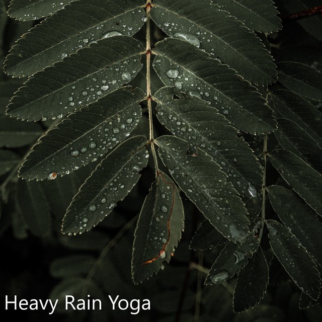 Heavy Rain Yoga