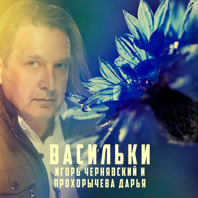 Васильки