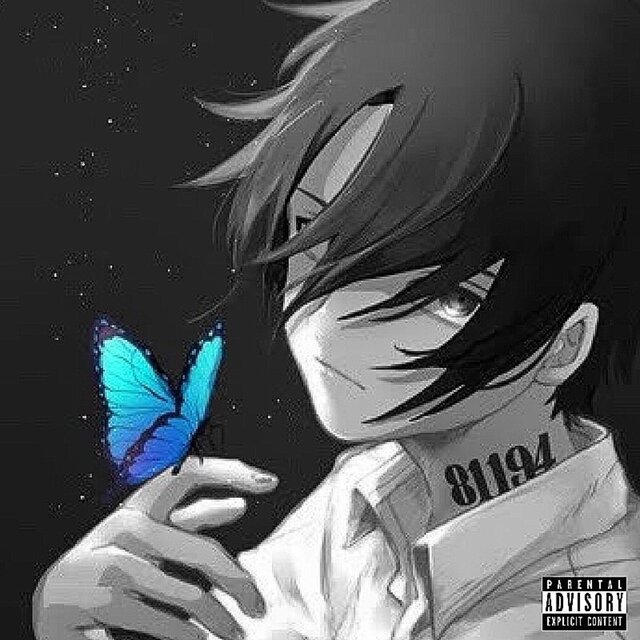 blue butterfly