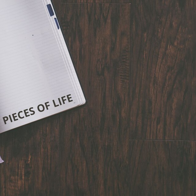 Pieces of Life