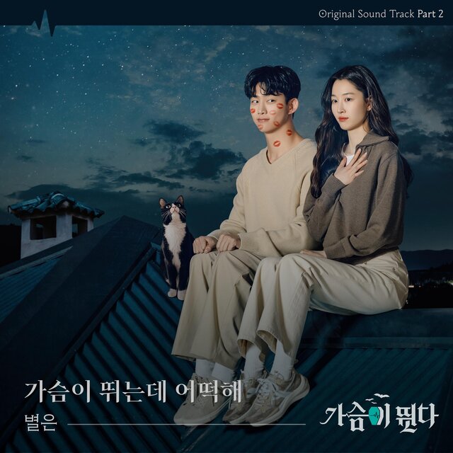 Heartbeat (Original Television Soundtrack), Pt.2