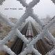 Cover art for album Your Friend, JATE by James And The Express