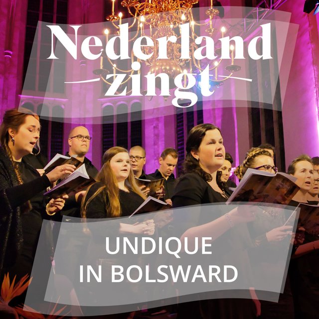 Undique in Bolsward