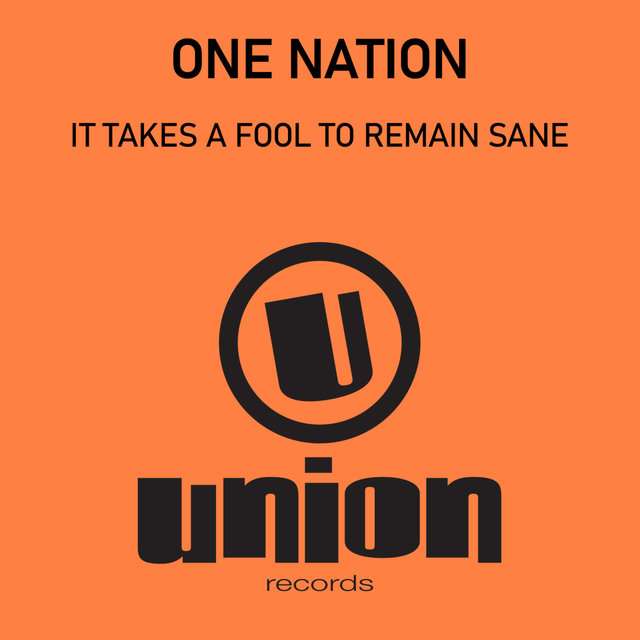 It Takes A Fool To Remain Sane