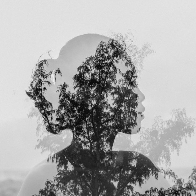 Feel the Peace in Your Mind